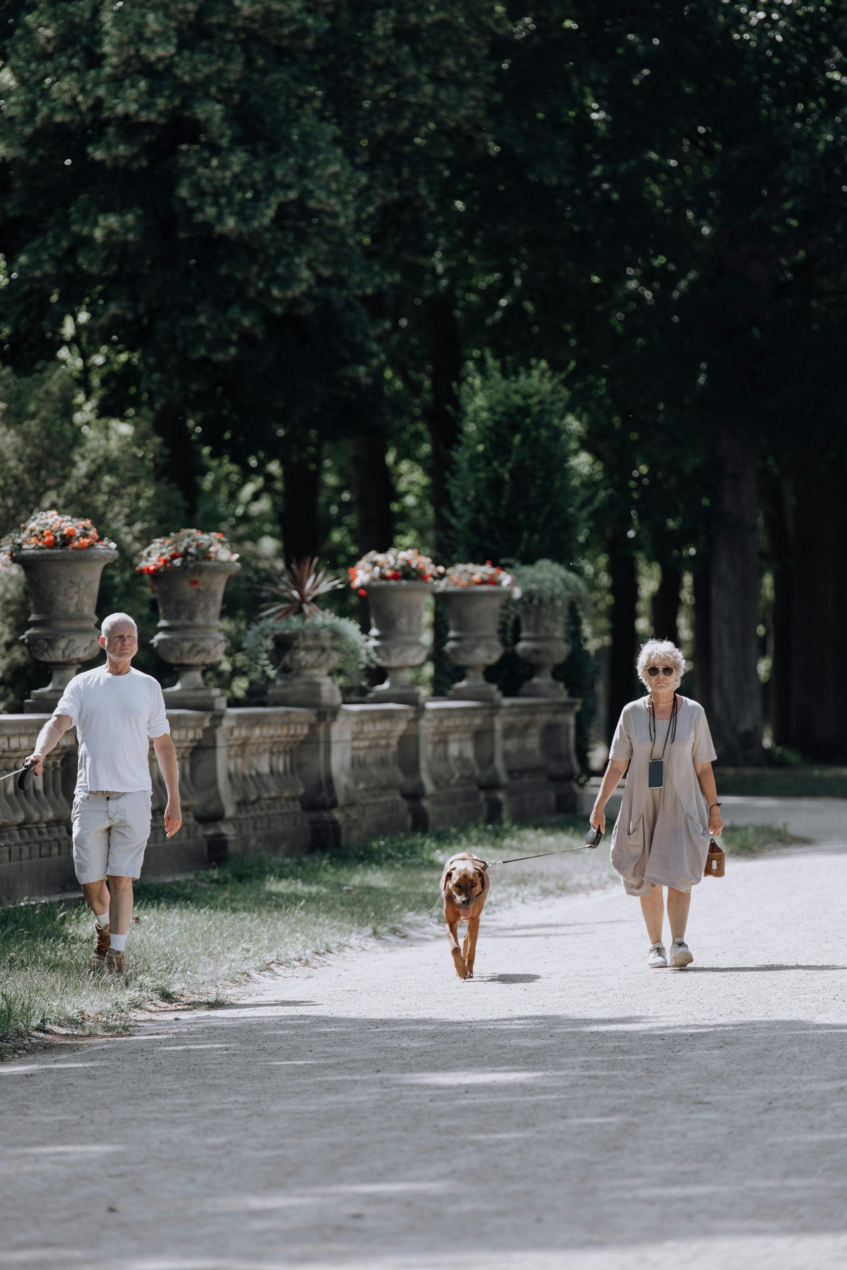 Quando la cura diventa una scelta: analisi dei tassi di rinuncia alle cure negli anziani del Friuli Venezia Giulia, Trentino Alto Adige e Veneto