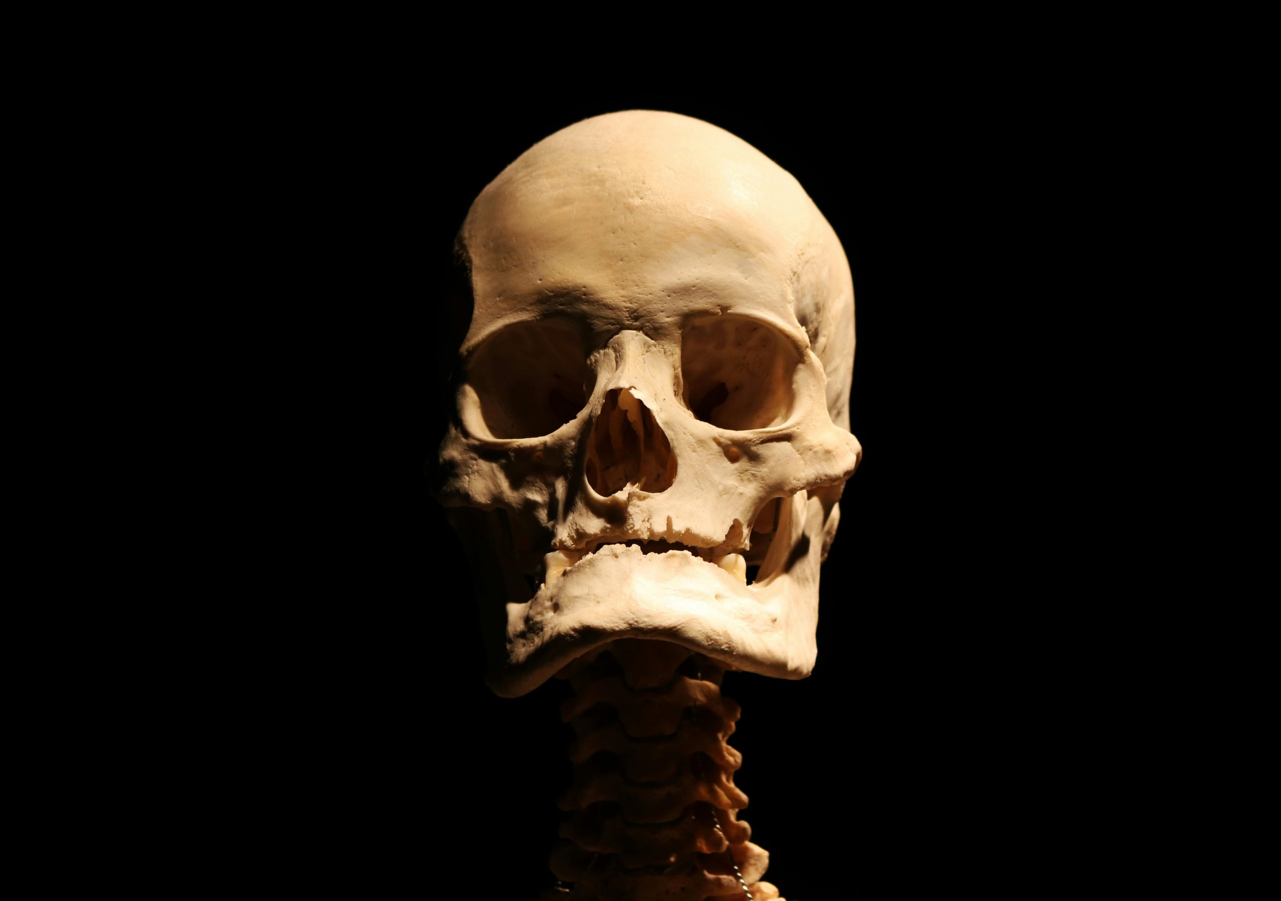 Nuove prospettive per la salute a Roma: il rilancio del Servizio di Medicina Legale dell'ASL Roma 4
