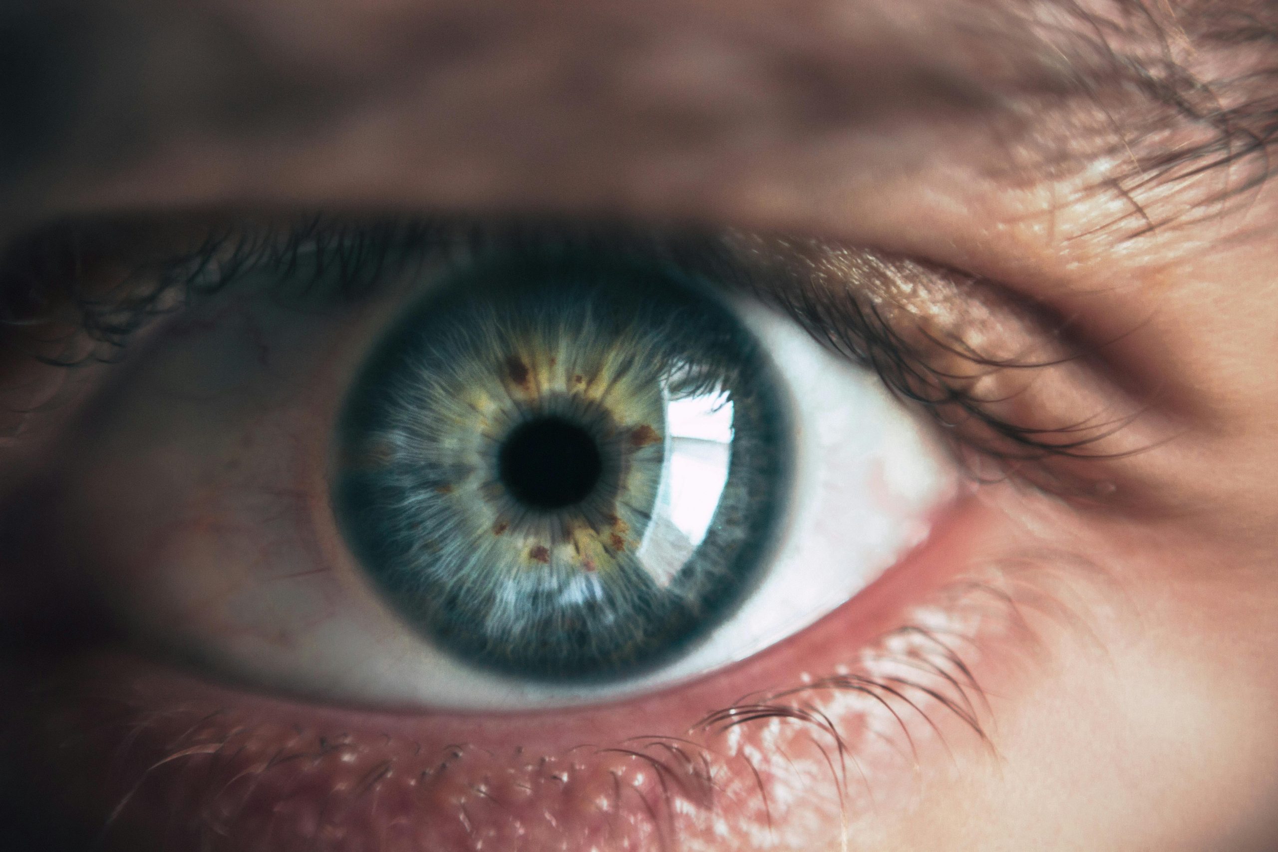 Lo sguardo che rivela la salute: Scopri come la retina può predire oltre 20 malattie non oculari e l'età biologica