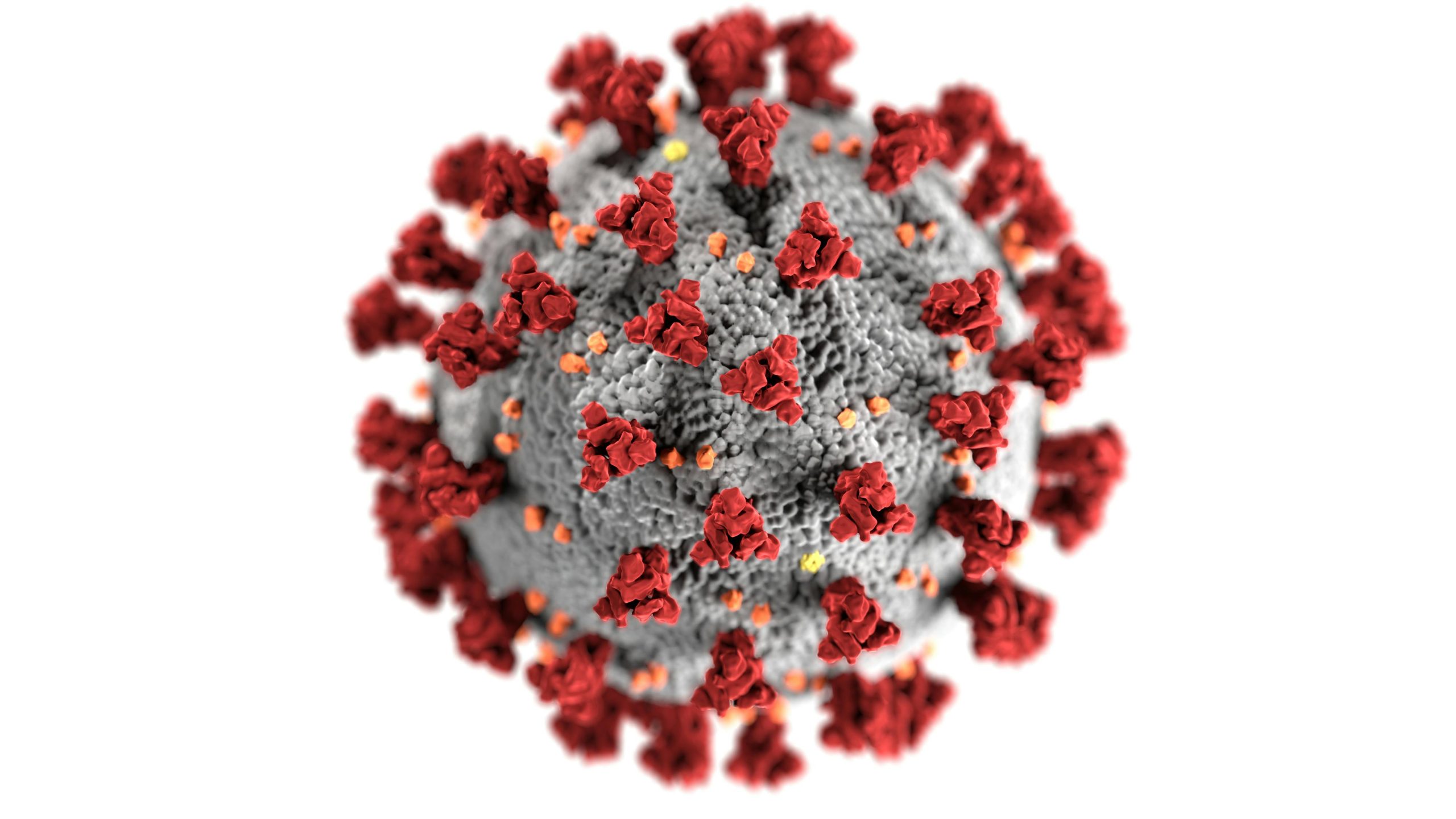 Malattia Congo: La Corsa contro il Virus Respiratorio che sta Colpendo la Popolazione
