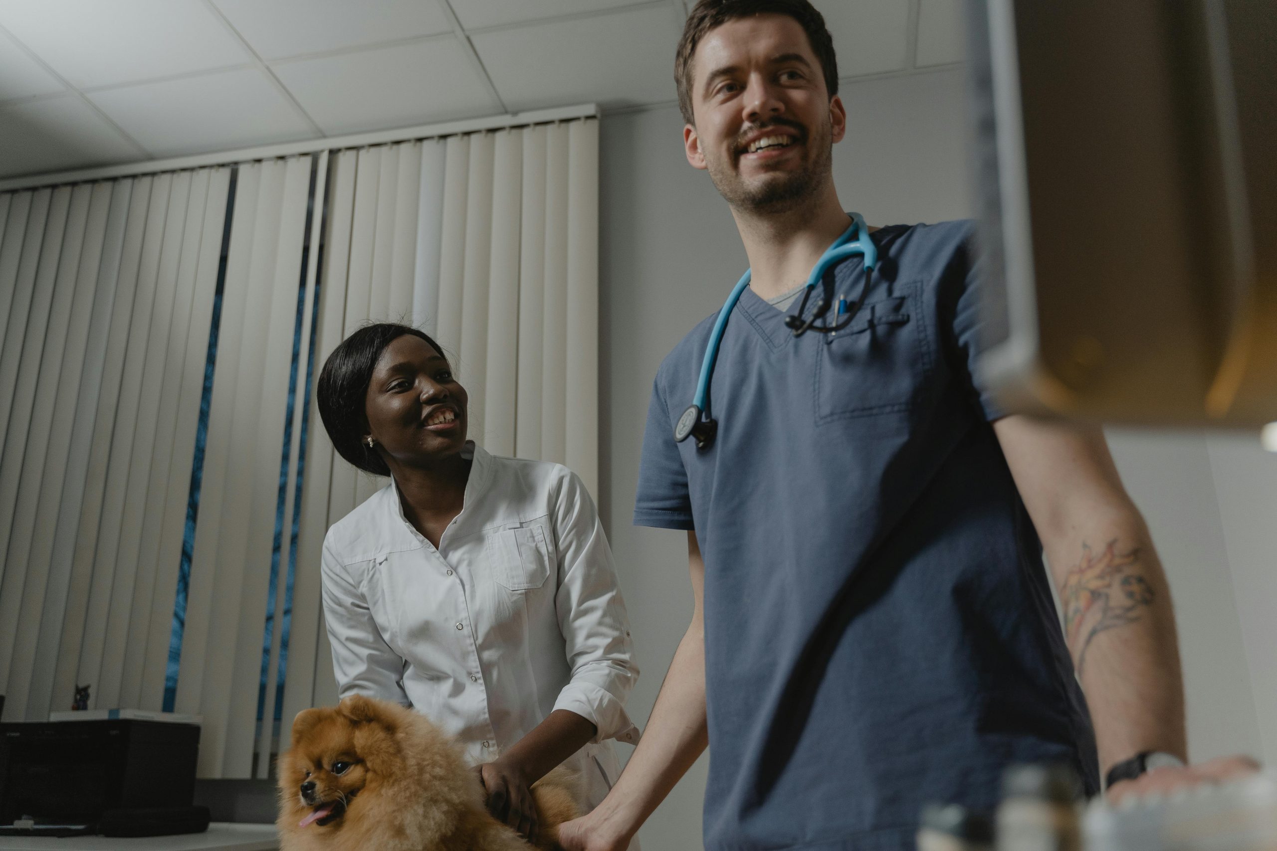 La Riforma della Specializzazione Veterinaria: Prospettive e Opportunità per i Professionisti del Settore