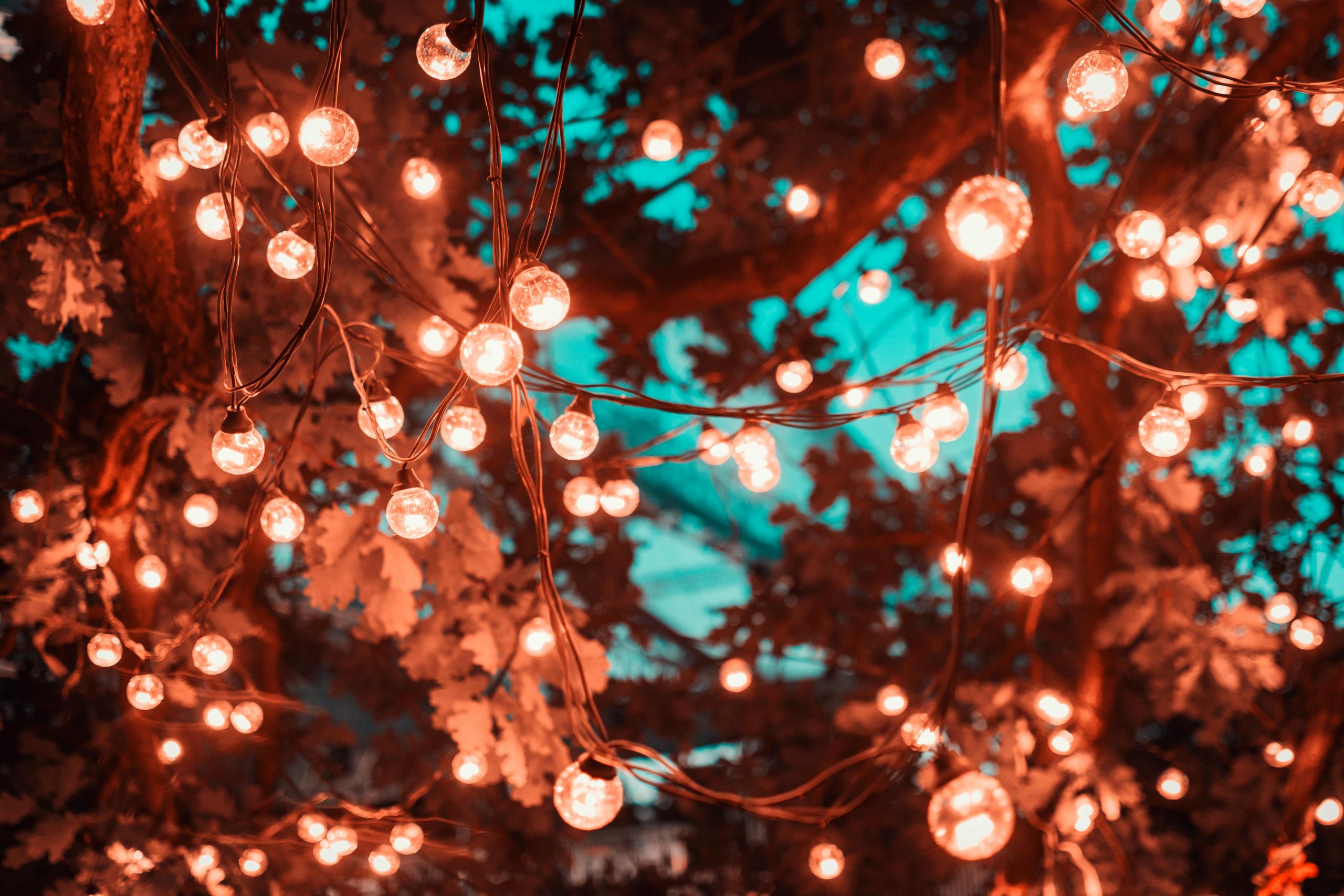 Natale e Salute: Il Potere del Riposo durante le Festività