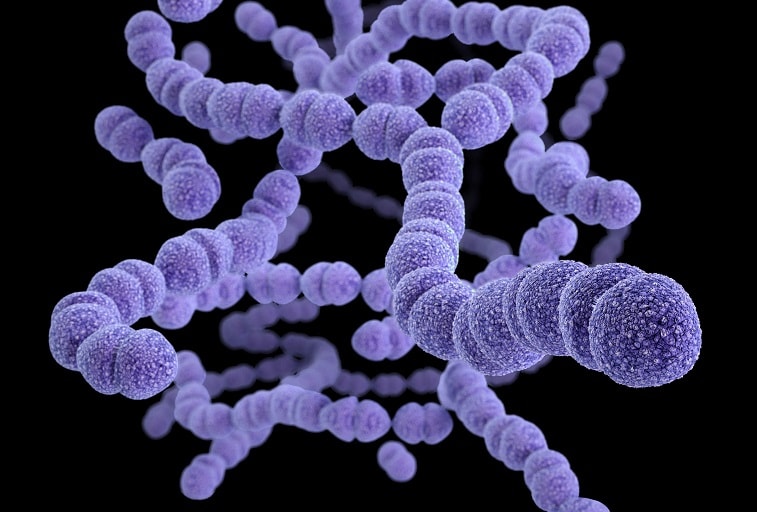 L'Allarme della Malattia Pneumococcica: Dati Preoccupanti dall'Europa secondo il Report ECDC del 2022