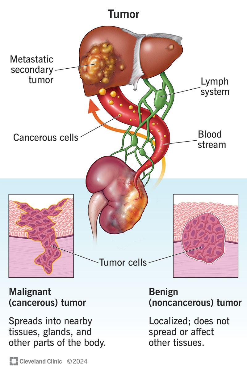 Ridonare Bellezza e Benessere: Il Servizio di Estetica Oncologica al Campus Bio-Medico