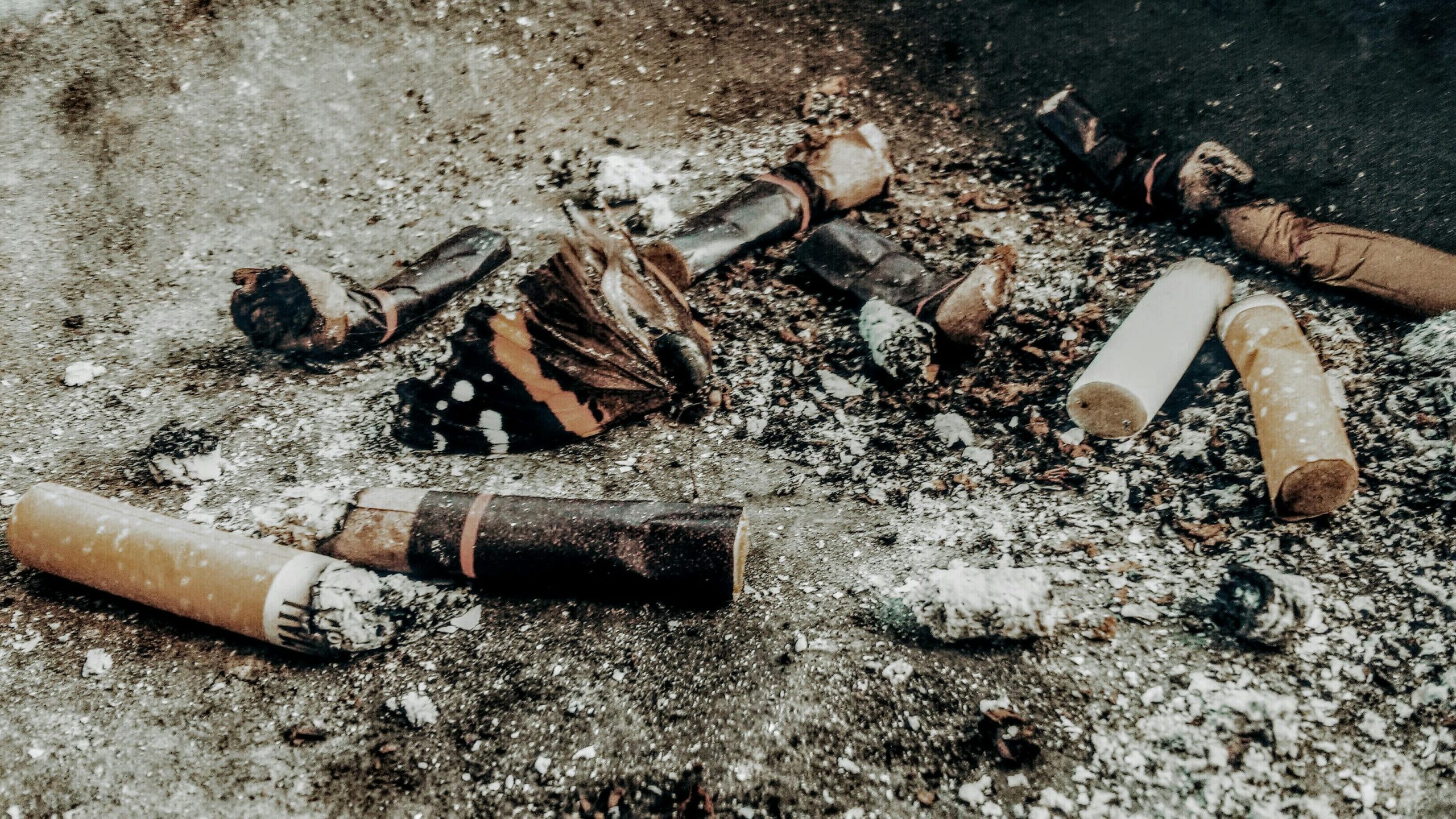 Innovazione nel mondo del fumo: nuovi sacchetti di nicotina senza tabacco approvati dalla FDA per ridurre il rischio per la salute