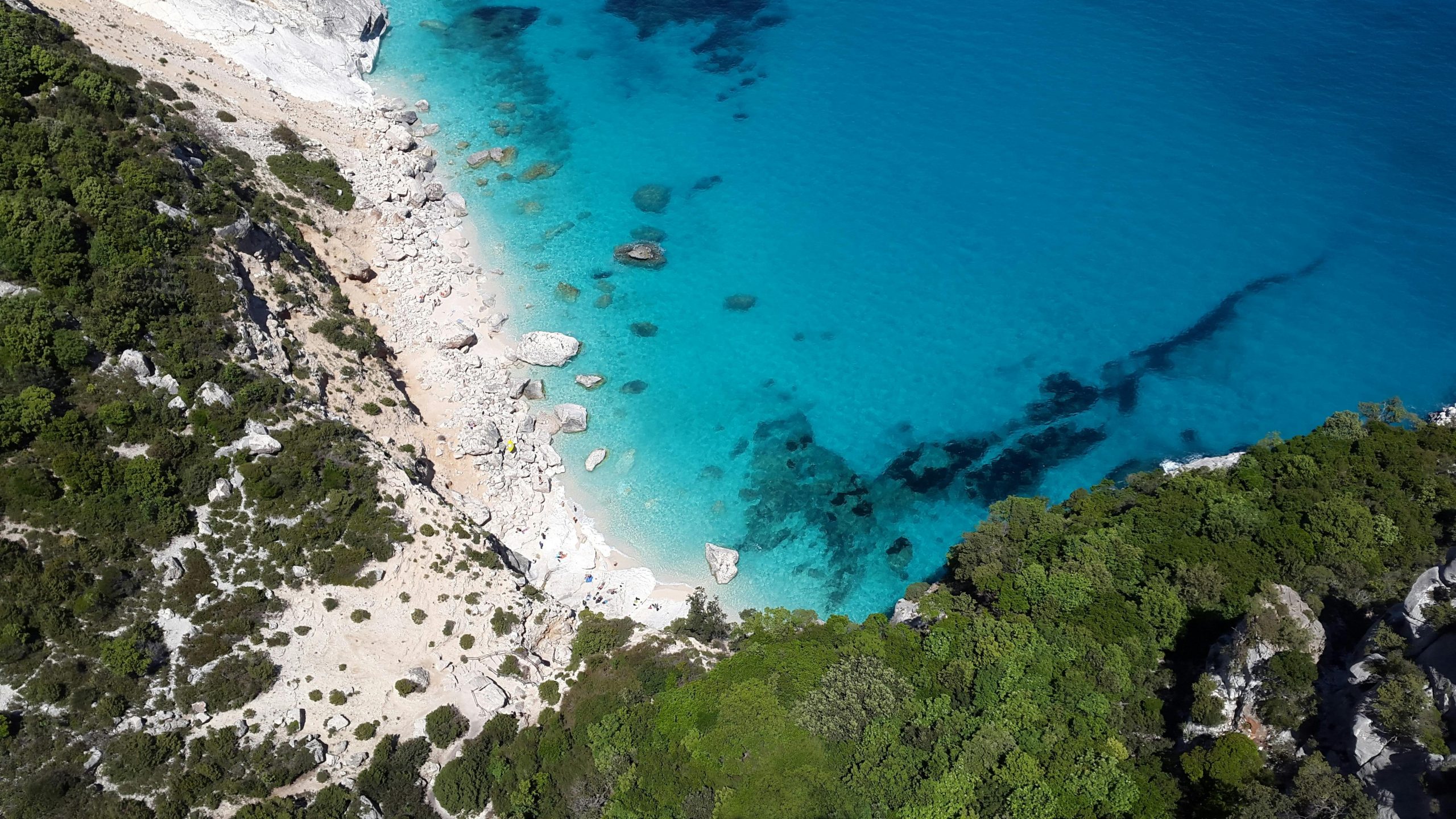 Potenziare i Servizi di Fisioterapia nelle Cure Primarie in Sardegna: Un Passo Avanti per la Salute della Comunità