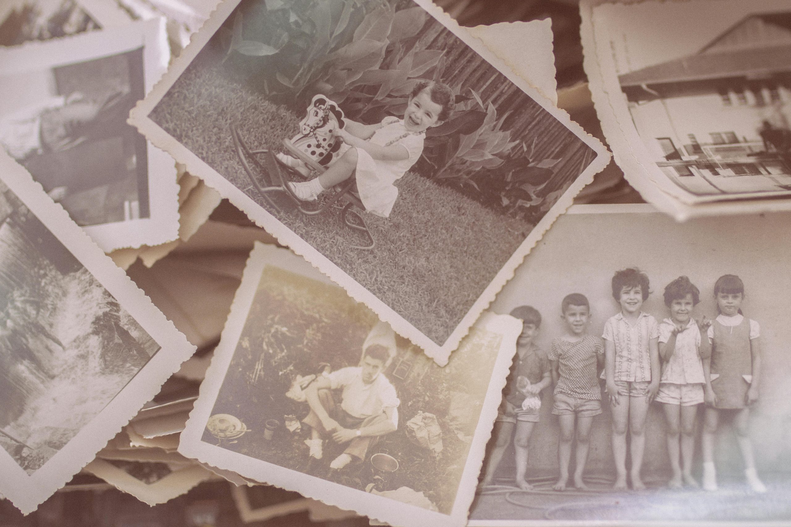 Riflessioni sul Giorno della Memoria: Combattere l'oblio per un futuro migliore