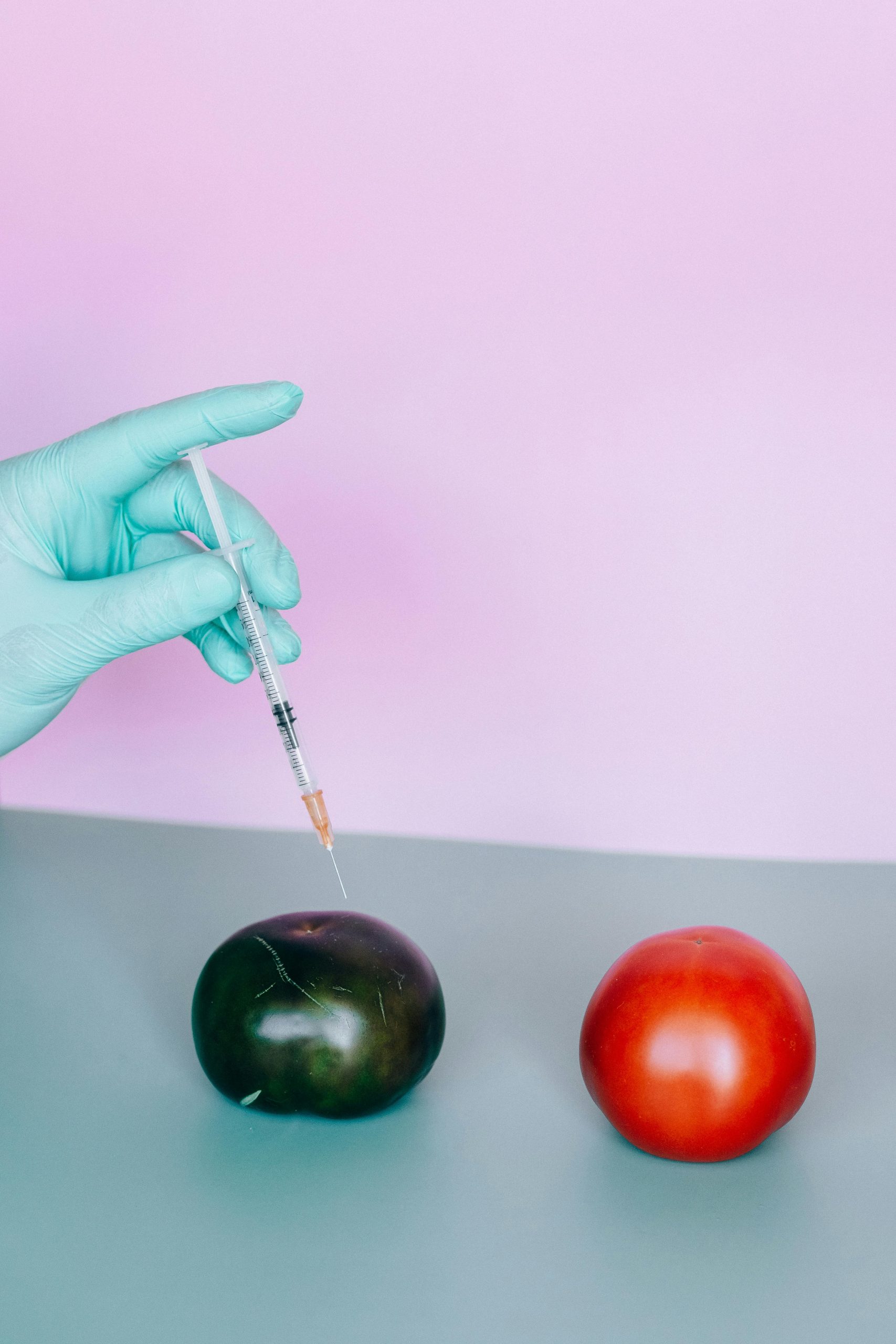 La presenza degli OGM negli alimenti in Italia: una panoramica sui dati recenti