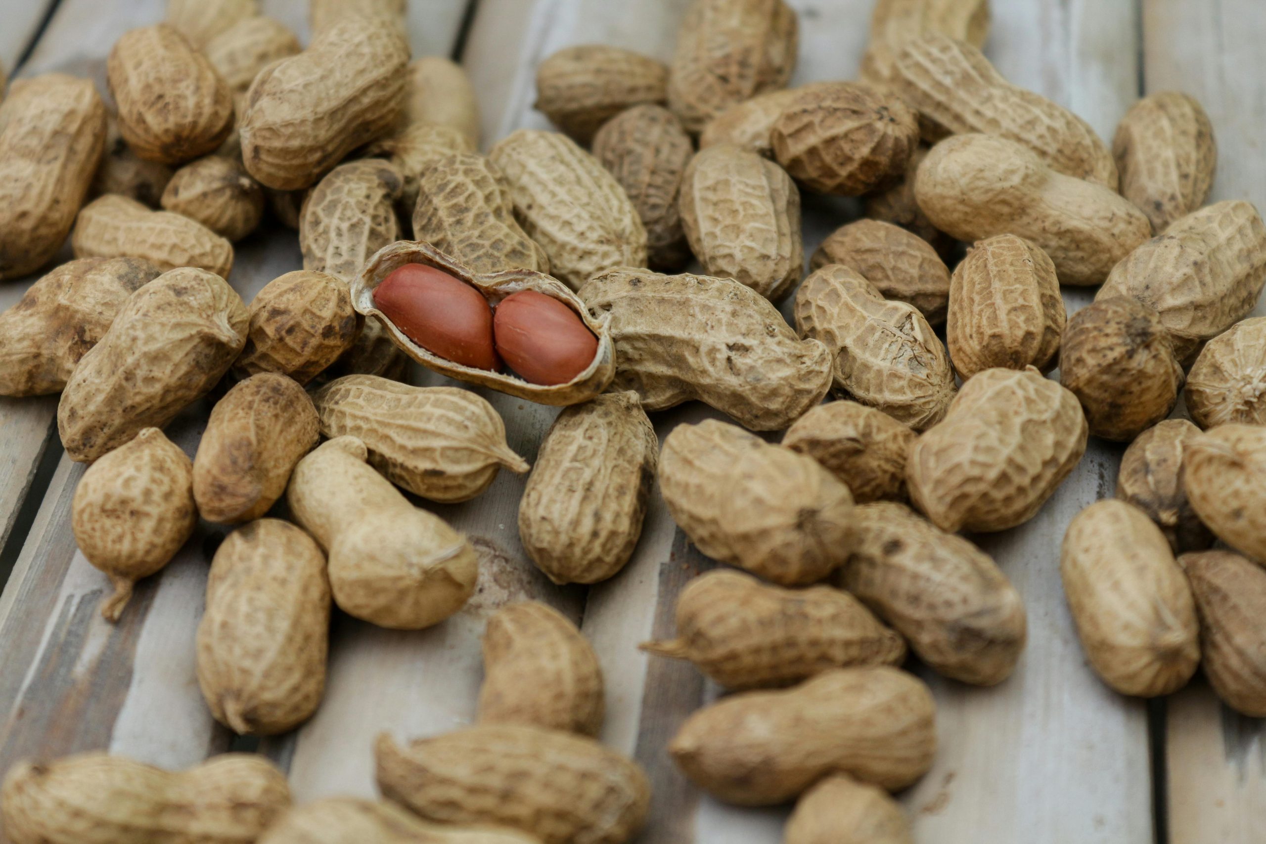 Scoperta rivoluzionaria al Bambin Gesù: un test predittivo per individuare le allergie alimentari nei bambini