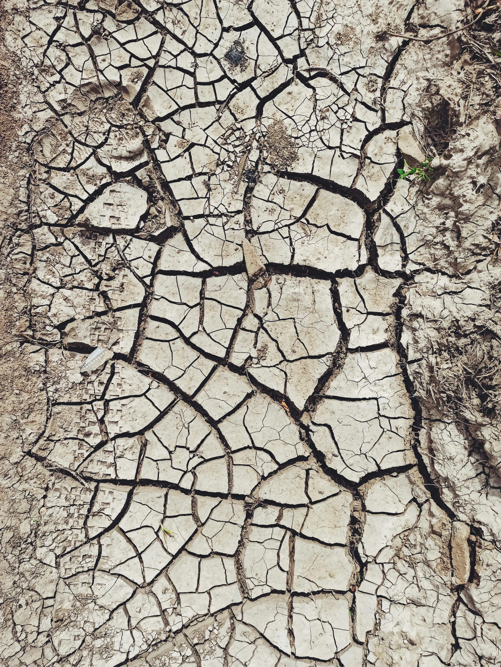 Salvare il nostro pianeta: 60 esperti propongono soluzioni concrete per affrontare la crisi climatica