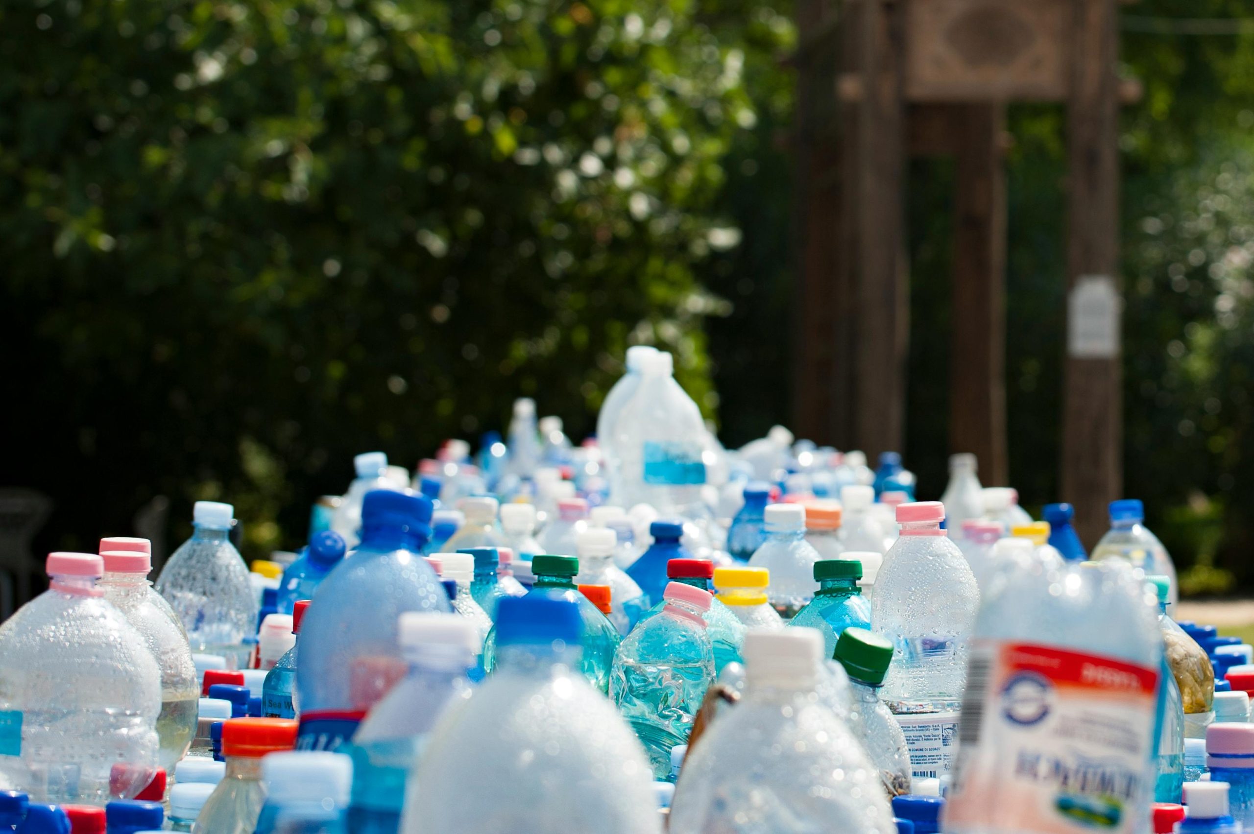 Plastica e Fertilità: Come la Tossicità dei Prodotti Chimici Influisce sul Benessere Riproduttivo delle Donne
