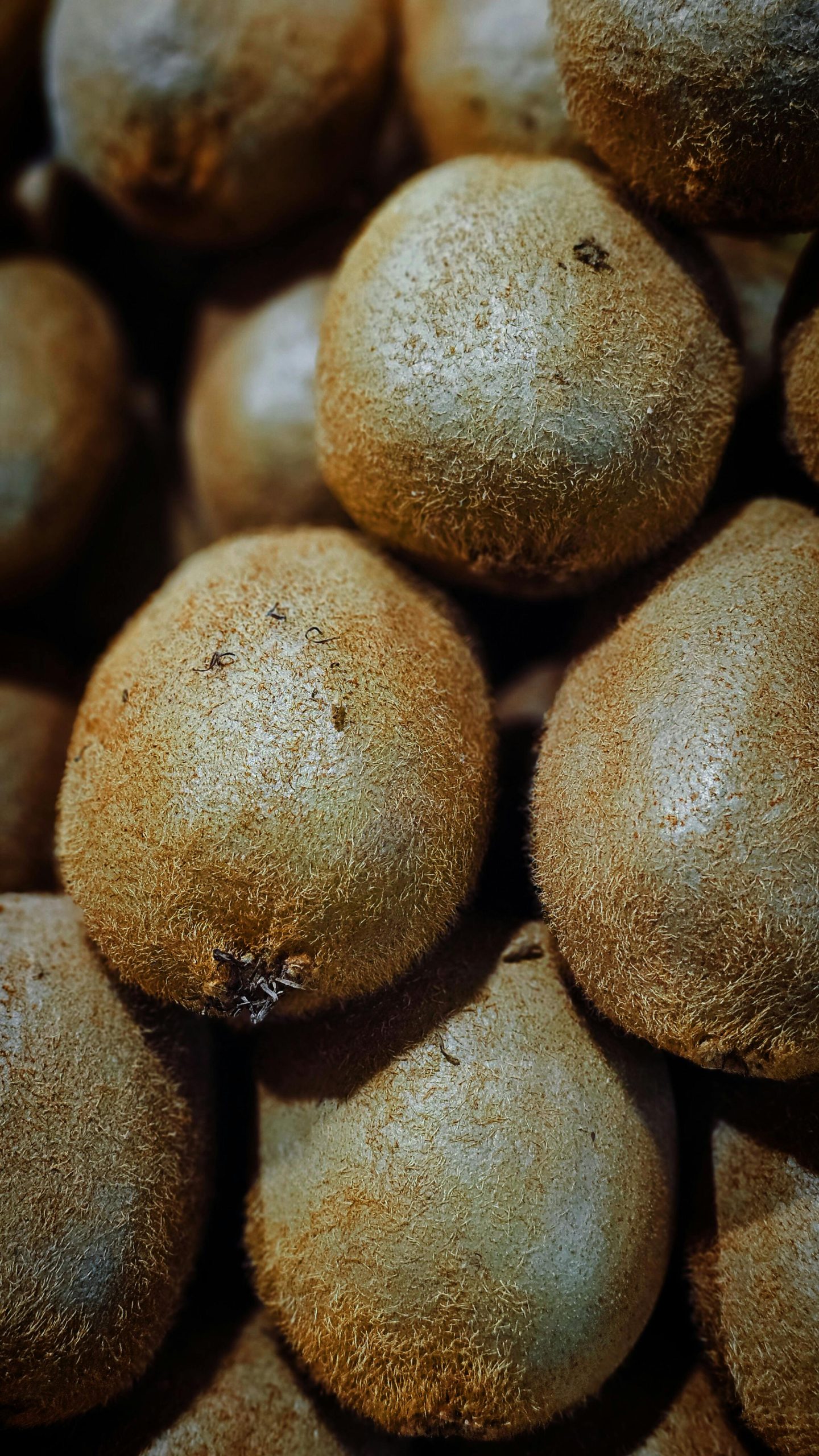 La Dieta Mediterranea: Il Segreto per una Salute Ottimale
