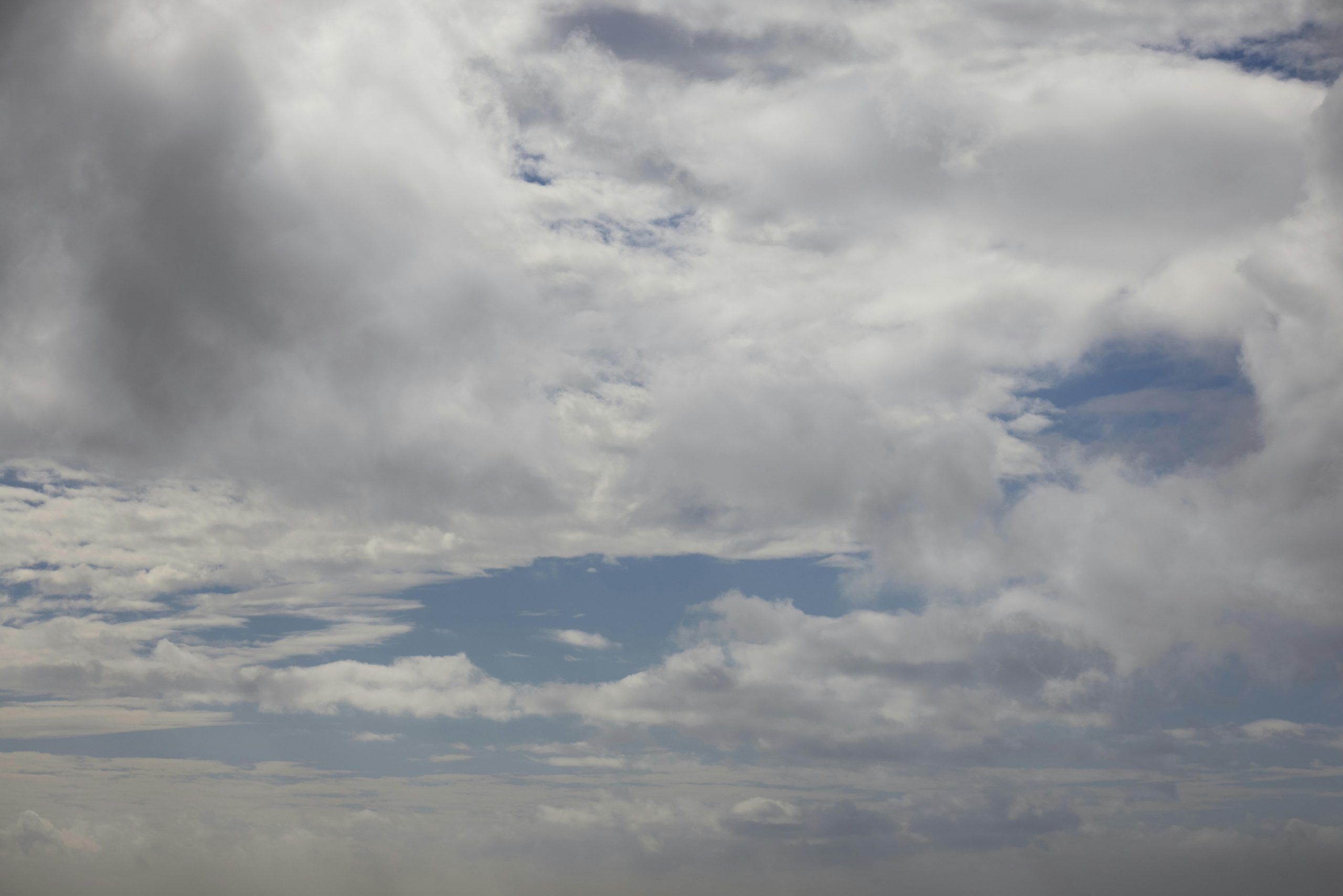 Verso un Futuro Sostenibile: Le Aziende Sanitarie di Bologna e Firenze si Impegnano per la Neutralità Climatica entro il 2030