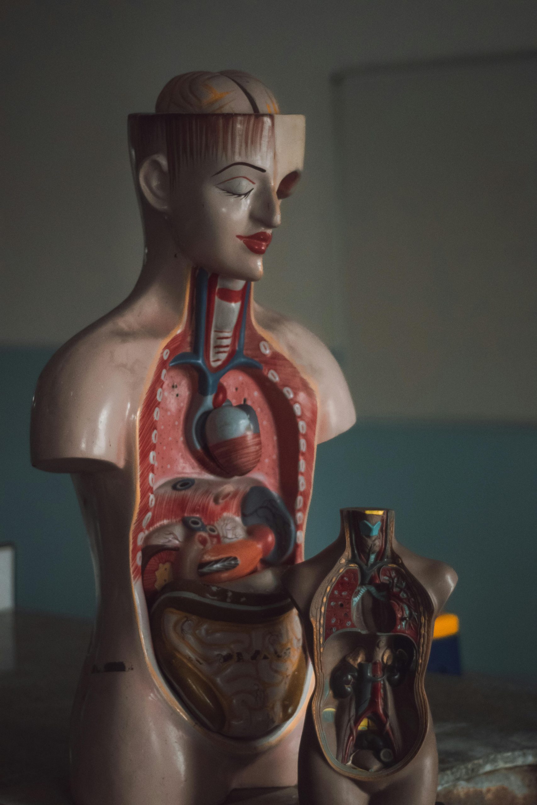 ESEO Italia 2025: Combattere le Patologie Gastrointestinali Eosinofile con Consapevolezza e Innovazione