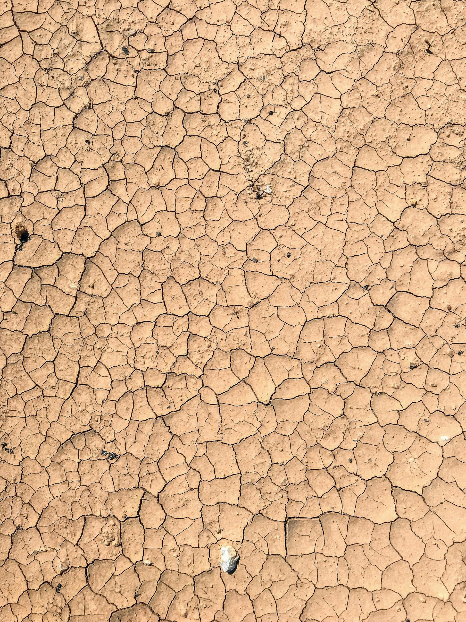 Come proteggere i bambini dalla disidratazione durante le ondate di caldo estremo
